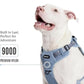 2025 New Edition, Fei & Eve MagEase Dog Harness - 3-Second Magnetic Buckles | 3-Point No-Pull Control | Heavy-Duty 900D Nylon | Dual Safety Handles | Breathable Mesh | Adjustable Fit |Small, Blue
