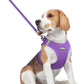 rabbitgoo Dog Harness Small Medium Sized and Leash Set, Step in Soft Light Puppy Vest, Breathable Mesh Pet Harness, Reflective for Safe Outdoor Walking, Purple L