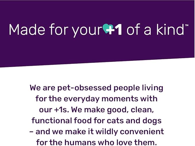 I AND LOVE AND YOU Stir and Boom Dehydrated Freeze Dried Raw Dog Food - Turkey - Grain Free, Real Meat, No Fillers, 1lb Bag