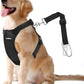 Dog Seat Belt, Safety Vest Dog Car Harness with Adjustable Buckle Dog Seat Belt for Vehicle Nylon Pet Safety Seat Belts Heavy Duty(XXL, Black)