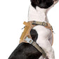 BUMBIN Dog Harness, Tactical XS, Brown, No Pull, Adjustable, Reflective, Soft Cotton, for Small Dogs Training, Fit Smart
