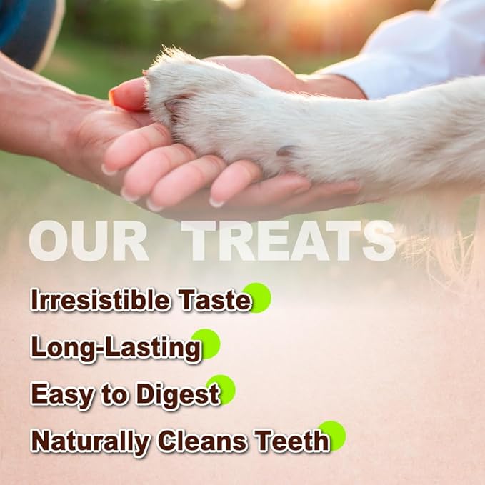 Afreschi Turkey Tendon Rope (M) 3.17 oz, USA-Sourced Turkey Tendon, All Natural Human Grade Dog Chew, Hypoallergenic, Rawhide Alternative, Dog Treats for Medium Breeds