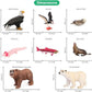 Volnau Safari Animal Figurines Toys 12PCS North America Figures Zoo Pack for Toddlers Kids Christmas Decoration Gift Preschool Educational Bald Eagle Bear Salmon Salamander Jungle Forest Cake Topper