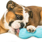 West Paw Zogoflex Qwizl Interactive Treat Dispensing Dog Puzzle Treat Toy for Dogs, 100% Guaranteed Tough, It Floats!, Made in USA, Large, Aqua Blue