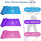 Therapy Flat Resistance Bands Set, Latex Free Flat Elastic Exercise Stretch Bands for Stretching, Flexibility, Pilates, Yoga, Ballet, Gymnastics, Rehab, Workout, Pink, Purple, Blue (3 Pack, 5 FT long)