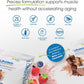 Prolon Longevity Plant Based Protein Powder | Muscle Synthesis & Repair, Healthy Aging, Boost Performance | Vitamins, Gluten Free, Amino Acids, Antioxidants | 25g of Protein | Berry, 12 Packets