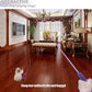 Cat Toy Wand, Interactive Feather Teaser Cat Toys Set, Retractable Cat Fishing Rod with 5pcs Refills (Purple)