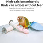 Bird Perches for Cage, Abrasive Surface High Calcium Mineral Parrot Perch Stand - Bird Nail File for Claw & Beak Health, Colorful Ceramic Bird Cage Accessories (Blue, Shell)