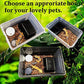 PINVNBY Reptile Enclosure Terrarium 2-Pack - 12.6"x8.7"x5.9" Multi-Purpose Transparent Plastic Habitat Cage for Gecko Scorpion Spider Snake Breeding Feeding & Cricket Keeper with Ventilated Lid, Black