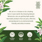 Banyan Botanicals CCF Tea (Cumin, Coriander, Fennel) – Organic Digestion Tea – Traditional Ayurvedic Detox Tea For Supporting Digestion & Gentle Cleansing – 3.5 oz – Non-GMO Sustainably Sourced Vegan