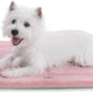 MADE 4 PETS Dog Crate Pad Bed for Small Dogs, Washable & Reversible, Anti-Slip Kennel Mat for Cozy Sleeping, Soft Fluffy Dog Bed for Indoor & Outdoor Use, 24"x18", Pink
