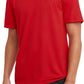 Champion Men's T-shirt, Sport Tee, Moisture Wicking, Anti Odor, Athletic T-shirt for Men (Reg. Or Big & Tall)