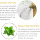 Oncpcare 4 Pack Catnip Balls, Natural Mint Leaf Catnip Ball for Cats Wall Cat Nip Cat Treats Magic Toy for Kitten Kitty Playing Chewing