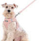 rabbitgoo Dog Harness Small Sized and Leash Set, Step in Soft Light Puppy Vest, Breathable Mesh Pet Harness, Reflective for Outdoor Safe Walking, Pink XXL