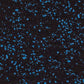 American Floor Mats - Extreme Rubber Gym Tiles - 1 Inch Thick Colorful Rubber Gym Tiles - Superior Shock and Sound Absorbing Tiles - 10% Blue 10 Tile Pack (Covers 40 Sq Ft)