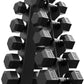 PAPABABE Hex Dumbbell Sets with Rack, 60-550lb Rubber Coated Dumbbell Weight Set and Storage Rack, Multiple Options Hand Weights for Strength Training