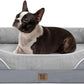 Orthopedic Washable Large Dog Bed - Egg Foam Dog Beds for Large and Medium Dogs Big Pet Beds with Removable Washable Cover and Bolster for Extra Large Dogs