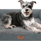 Small Dog Bed Waterproof Orthopedic Dog Beds for Medium Sized Dogs Comfy Pet Cat Bed with Sides, Washable Removable Cover