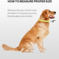 Hyhug Pets Classic Regular Heavy Duty Nylon Dog Collar (Small, Lime Green)