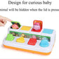 Animal Park Interactive Pop Up Music Toy,Up- Early Education Activity Center Toy, Ages 7 8 9 10 11 12 Months and up Infant Toddlers Toys.