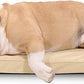 K9 Ballistics Tough Ripstop Orthopedic Dog Crate Bed - Durable Pad with Washable Cover, for Wire Crates, Tie-Downs Included, Size: Medium 35"x22", Sandstone