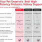 Azovast Plus Kidney Health Supplement for Dogs & Cats, 120ct - NO Refrigeration Required - Help Support Kidney Function & Manage Renal Toxins - Renal Care Supplement Capsule(U.S.A) (120 Caps)