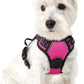 rabbitgoo Dog Harness No Pull with 2 Leash Clips, Adjustable Soft Padded, Reflective Oxford No Choke Pet Vest with Easy Control Handle for Puppy, Hot Pink, XS