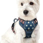rabbitgoo Dog Harness No Pull with 2 Leash Clips, Adjustable Soft Padded, Reflective Oxford No Choke Pet Vest with Easy Control Handle for Large Dogs, Blue Star, XS