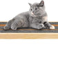 Handcrafted Wood Cat Perch & Shelves - Floating Shelf with Cat Hammock Seat, Lounge Bed, Climbing Steps for Relaxing, Playing and Scratching