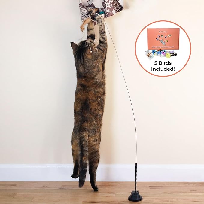 Interactive Catnip Bird Toy Set, Interactive Cat Toys for Indoor Cats, Cat Feather Toy, Self-Holding Suction Base, 5 Birds, Catnip Pouches, Feathers & Bells, Realistic Bird Impression