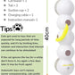 Interactive Caterpillar Cat Toy, Motion Sensor, Simulation of Biological Trajectory, ABS, USB Rechargeable, Stable Suction Cup, Cat Feather Toys for Indoor Cats, Caterpillar Smart Toy with 2 Tails