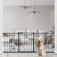 67.3-81.1" Extra Wide Baby Gate for Stairs No Drilling, 30" Tall Auto Close Press Mounted Baby Gate for Doorways, Adjustable Width Walk Through Long Gates for Kids or Pets, Black