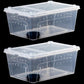 Critter Keeper 2-Pack, Cricket Cage & Reptile Feeding Box 12.59"x8.66"x5.9" Transparent Portable Plastic Snake Habitat Escape-Proof Ventilated Design for Gecko, Tarantula, Scorpion, Spider, Frog