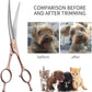Fenice Peak Professional Curved Dog Grooming Scissors 8'' Rose Gold 440C Stainless Steel Pet Cutting Shears Safety Trimming Shearing for Dogs Cats