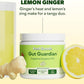 Feel Goods Gut Guardian, Organic Fiber, Probiotic & Prebiotic Powder, Sugar Free, Herbs for Bloat, Gut Health Support, Digestive Health for Men & Women, Non GMO, Vegan, Lemon Ginger, 30 Servings
