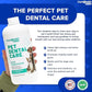 LIQUIDHEALTH Pet Dental Care Water Additive for Dogs & Cats - Fast Acting Pet Bad Breath Freshener, Dog Mouth Wash, Animal Oral Dental Rinse, Plaque & Tartar Teeth Cleaning Solution (3-Pack)