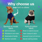 PupShield - Dog Surgery Recovery Suit Male and Female - All Dog Sizes - Easy to Use Anti Licking Design Breathable Comfortable - Spay & Neuter Recovery Suit - Surgical Onesie - Cone Alternative