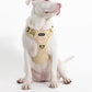 2025 New Edition, Fei & Eve MagEase Dog Harness - 3-Second Magnetic Buckles | 3-Point No-Pull Control | Heavy-Duty 900D Nylon | Dual Safety Handles | Breathable Mesh | Adjustable Fit,X-Large,Champagne