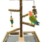 Tfwadmx Bird Perch Natural Wood Stand Toy Parrot Play Stand Platform Bird Cage with Removable Tray and 2 Stainless Steel Cups for Parakeets Canaries Cockatiels Conure Lovebirds