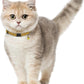 Breakaway Cat Collar Leather with Removable Bell - 13 Colors Available - Soft Adjustable Girl Boy Safety Lightweight Pet Kitten Collars Pink Brown Blue Green Red Orange Black (Mustard)