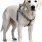 Stripe Step in Dog Harness for Small Dogs, Freedom Nylon Dog Halter Vests, Lightweight and Escape Proof Puppy Harness, Quick Fits for Small Medium and Large Dogs, Blue M