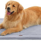 Made4Pets Dog Crate Pad Bed for Large Dogs, Washable & Reversible, Anti-Slip Kennel Mat for Cozy Sleeping, Soft Fluffy Dog Bed for Indoor & Outdoor Use, 44"x32", Gray