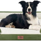 Comfort Expression Waterproof Dog Beds for Large Dogs, Orthopedic Large Breed Dog Beds, Comfy Pet Bed Sofa with Washable Removable Cover & Non-Slip Bottom(Light Green)