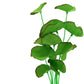2-Pack 12 Inch Aquarium Silk Aquarium Plants, Artificial Plastic Plant for Small Tank, Goldfish, Fish Hides (Green B, 12 Inch)