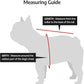 K9 Sport Sack Air 2 - Small, Light Grey - Ideal for Dogs with 13-16” Back Length - Durable, Breathable Backpack-Style Carrier - Perfect for Walks, Short Hikes & Public Transportation