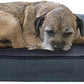Furhaven Cooling Gel Dog Bed for Medium/Small Dogs w/ Removable Bolsters & Washable Cover, For Dogs Up to 35 lbs - Sherpa & Chenille Sofa - Orion Blue, Medium