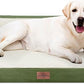 Comfort Expression Orthopedic Dog Beds for Jumbo Breed Large Dogs, Jumbo Dog Beds Waterproof, PV Washable Pet Sofa Couch with Removable Cover & Non-Slip Bottom(Light Green)