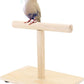 Bird Perch Stand, Bird Training Portable Tabletop Platform, Parrot Bird Cage Toy Gym Accessories for Parakeets Cockatiels, Conures, Macaws, Finches Lovebirds