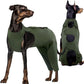 Kuoser Thigh Wound Protective Sleeve for Dogs, Dog Surgery Recovery Suit for Rear Legs, Dog Recovery Sleeve for Female Male Dogs, Dog Onesie After Surgery Pet Surgical Suit for Spay Neuter, Green L