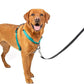 PetSafe 3 in 1 Dog Harness - No Pull Solution for Dogs - Reflective Dog Harness - Front D-Ring Clip Helps Stop Pulling - Comfortable Padded Straps - Top Handle Enhances Control - Teal - Large